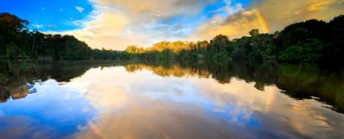 Amazonian lake with surrounding forest - iStockPhoto