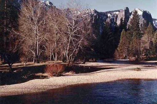 Yosemite River view