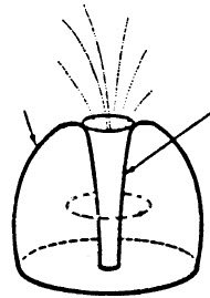 Prometheus Links Plasmak Plasma Diagram 2