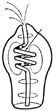 Prometheus Links Plasmak Plasma Diagram 4